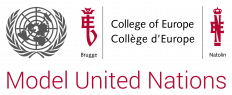 Model United Nations